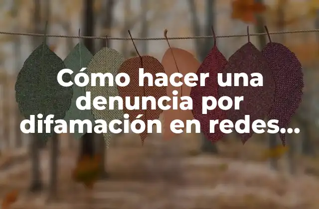 Cómo Hacer una Denuncia por Difamación en Redes Sociales