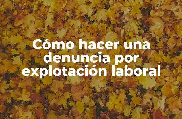 Cómo Hacer una Denuncia por Explotación Laboral