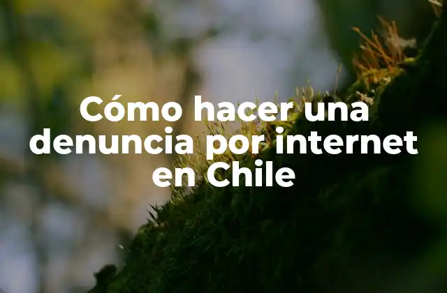 Cómo Hacer una Denuncia por Internet en Chile