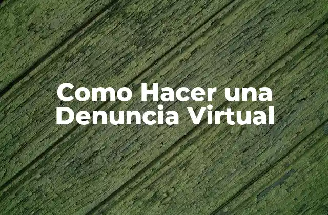 Como Hacer una Denuncia Virtual