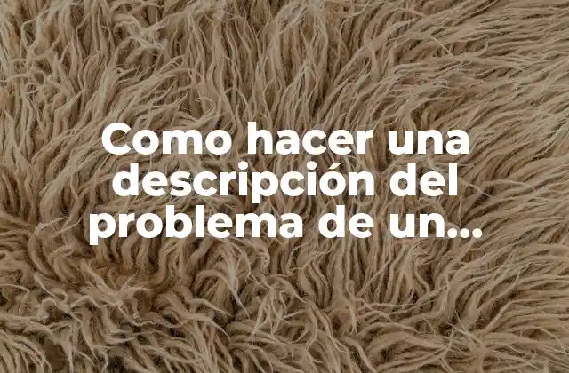 Como Hacer una Descripción Del Problema de un Proyecto 2 Descripción del problema de un proyecto