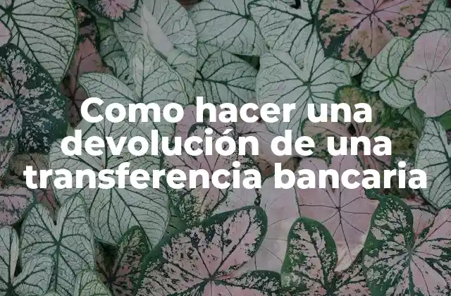 Como Hacer una Devolución de una Transferencia Bancaria 2 ¿Qué es una devolución de transferencia bancaria?