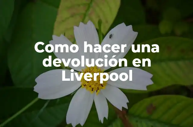 Como Hacer una Devolución en Liverpool