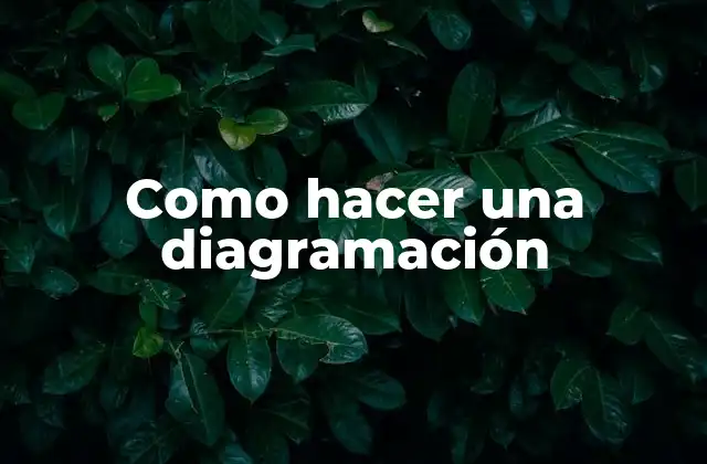 Como Hacer una Diagramación