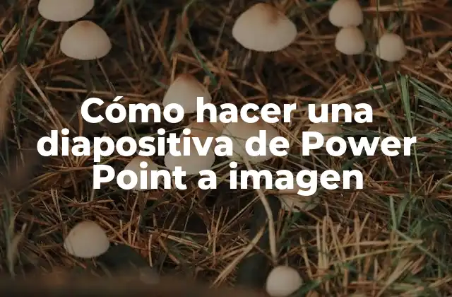 Cómo Hacer una Diapositiva de Power Point a Imagen