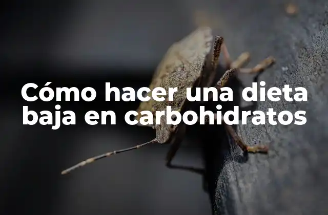 Cómo Hacer una Dieta Baja en Carbohidratos