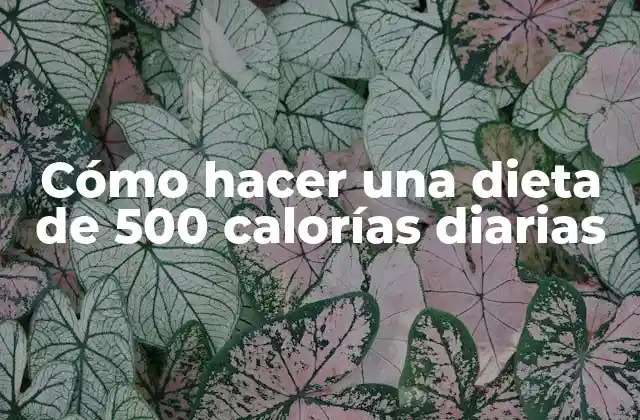 Cómo Hacer una Dieta de 500 Calorías Diarias