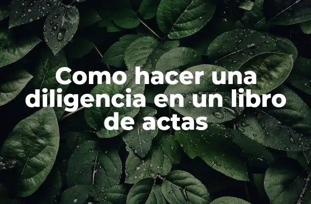 Como Hacer una Diligencia en un Libro de Actas