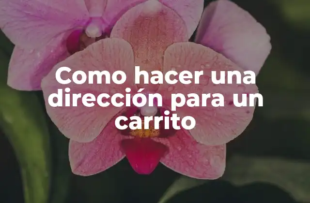 Como Hacer una Dirección para un Carrito