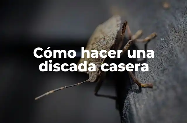 Cómo Hacer una Discada Casera