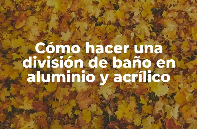 Cómo Hacer una División de Baño en Aluminio y Acrílico