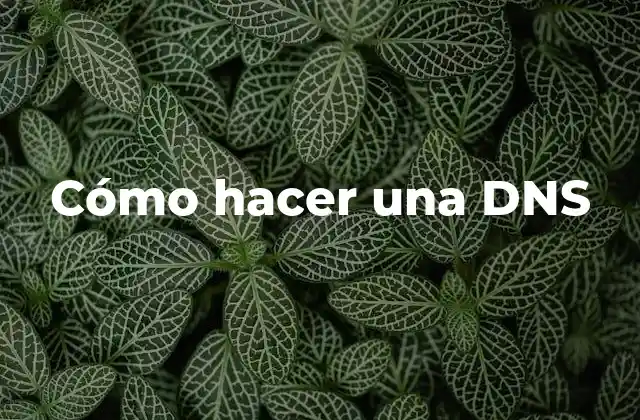 Cómo Hacer una Dns