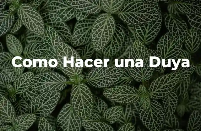 Como Hacer una Duya