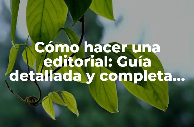 Cómo Hacer una Editorial: Guía Detallada y Completa para Periodistas y Escritores