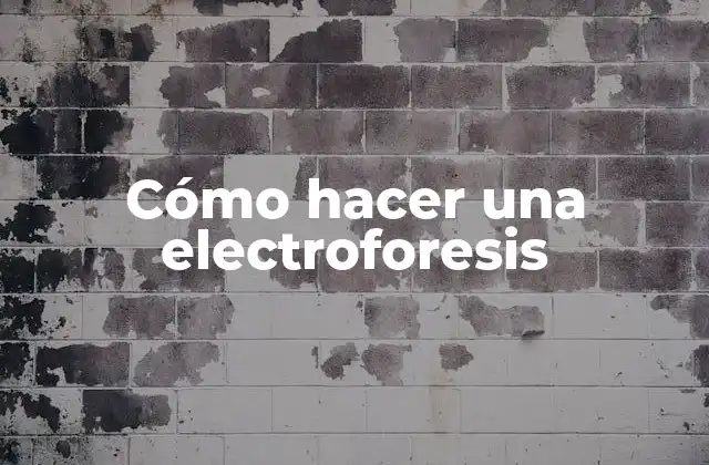 Cómo Hacer una Electroforesis