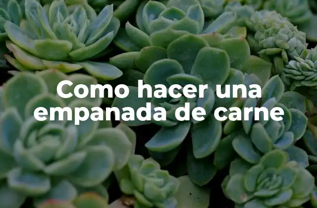 Como Hacer una Empanada de Carne