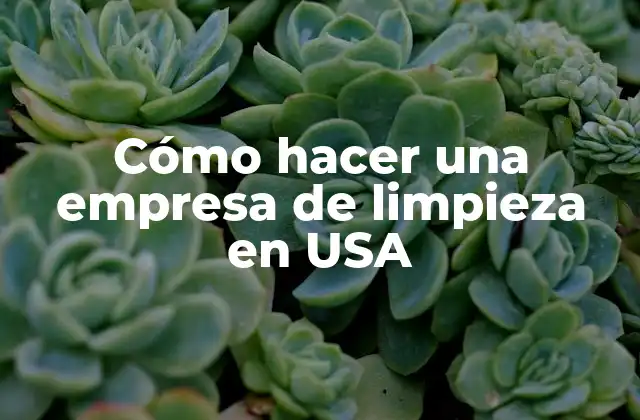 Cómo Hacer una Empresa de Limpieza en Usa