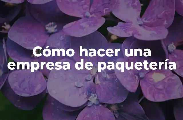 Cómo Hacer una Empresa de Paquetería