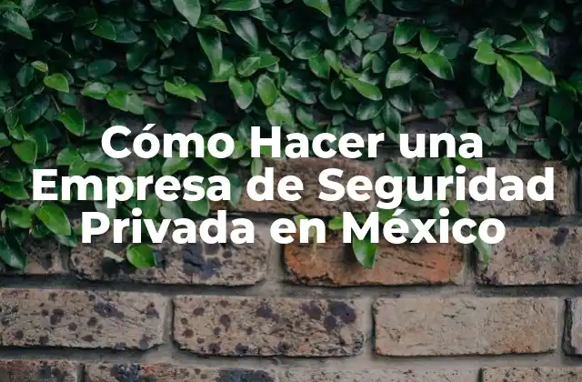 Cómo Hacer una Empresa de Seguridad Privada en México
