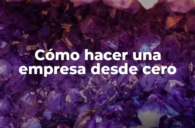 Cómo Hacer una Empresa desde Cero