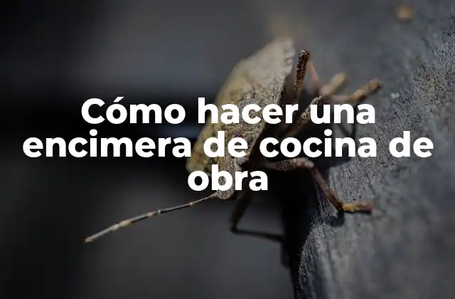 Cómo Hacer una Encimera de Cocina de Obra