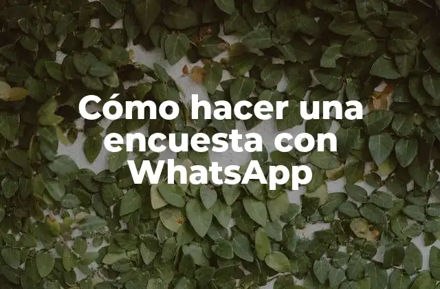 Cómo Hacer una Encuesta con Whatsapp