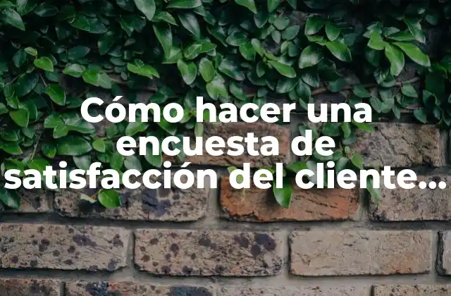 Cómo Hacer una Encuesta de Satisfacción Del Cliente Interno