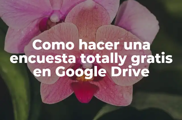 Como hacer una encuesta totally gratis en Google Drive