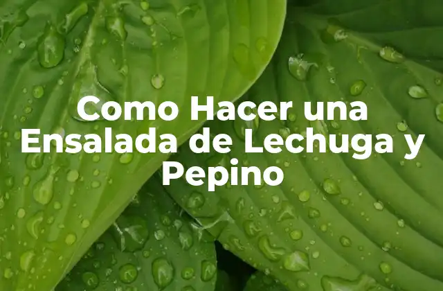 Como Hacer una Ensalada de Lechuga y Pepino