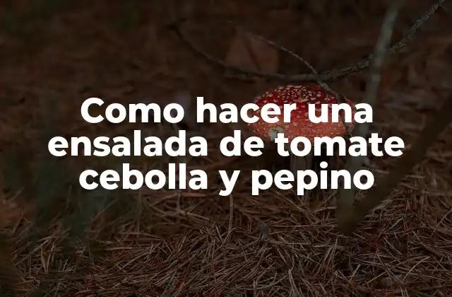 Como Hacer una Ensalada de Tomate Cebolla y Pepino