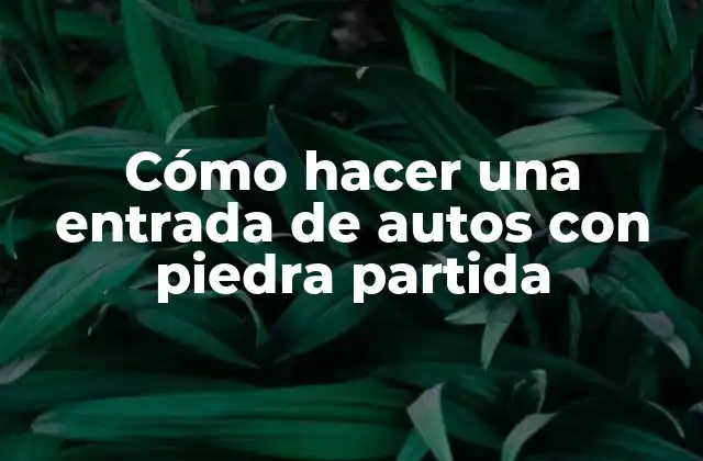 Cómo Hacer una Entrada de Autos con Piedra Partida