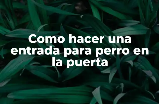Como Hacer una Entrada para Perro en la Puerta