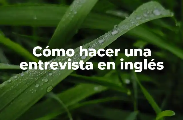Cómo Hacer una Entrevista en Inglés