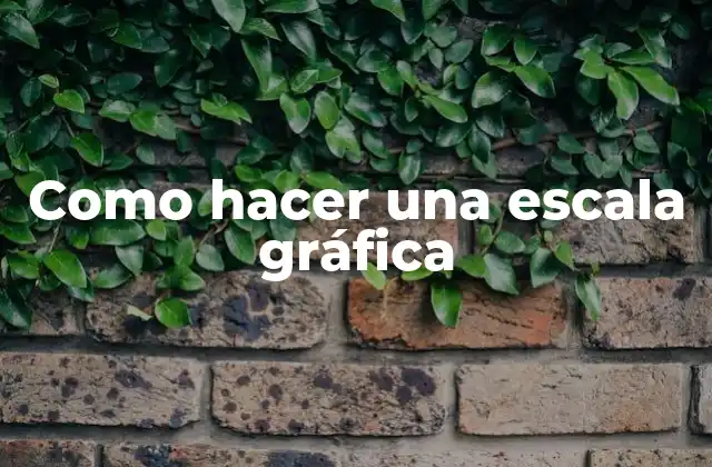 Como Hacer una Escala Gráfica