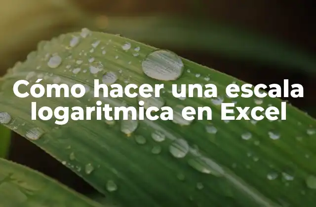 Cómo hacer una escala logaritmica en Excel