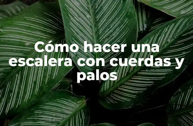 Cómo Hacer una Escalera con Cuerdas y Palos