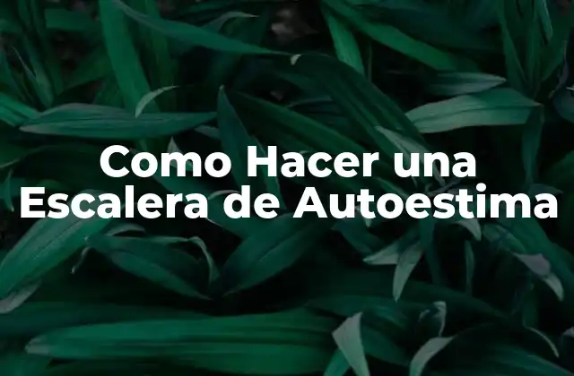 ¿Qué es una Escalera de Autoestima?