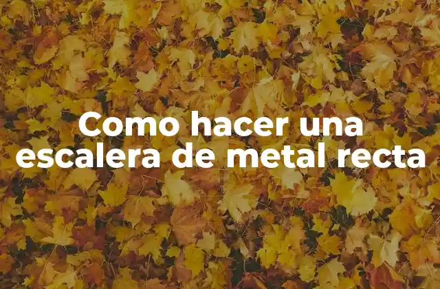 Como Hacer una Escalera de Metal Recta 2 Qué es una escalera de metal recta y cómo se utiliza