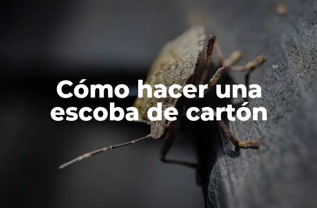 Cómo Hacer una Escoba de Cartón