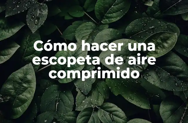 Cómo Hacer una Escopeta de Aire Comprimido