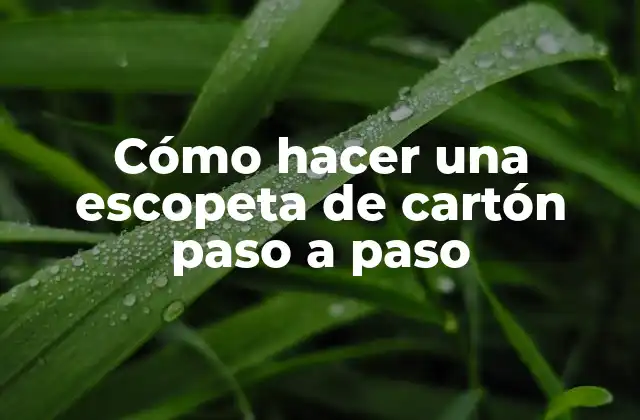 Cómo Hacer una Escopeta de Cartón Paso a Paso 2 ¿Qué es una escopeta de cartón y para qué sirve?