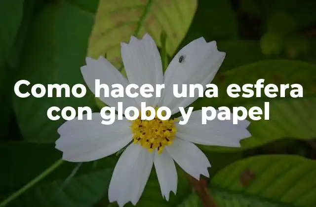 Como Hacer una Esfera con Globo y Papel