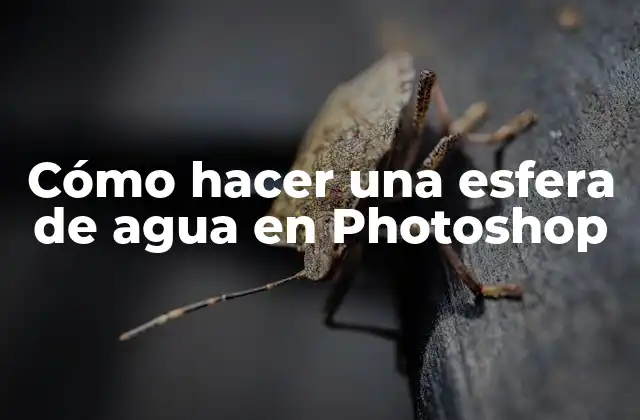 Cómo Hacer una Esfera de Agua en Photoshop