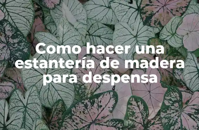 Como Hacer una Estantería de Madera para Despensa