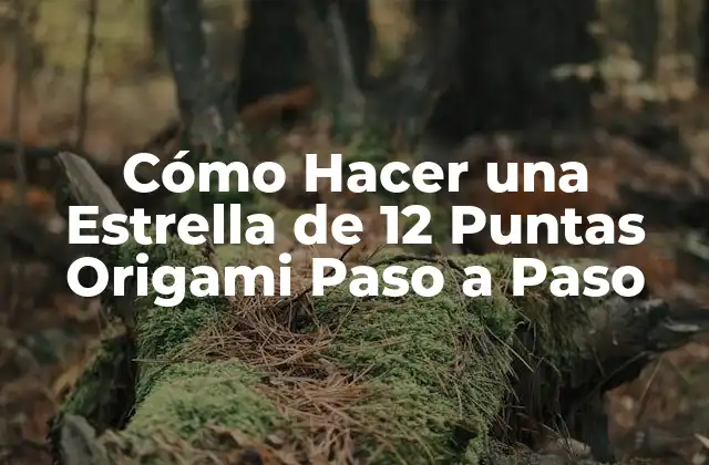 Cómo Hacer una Estrella de 12 Puntas Origami Paso a Paso