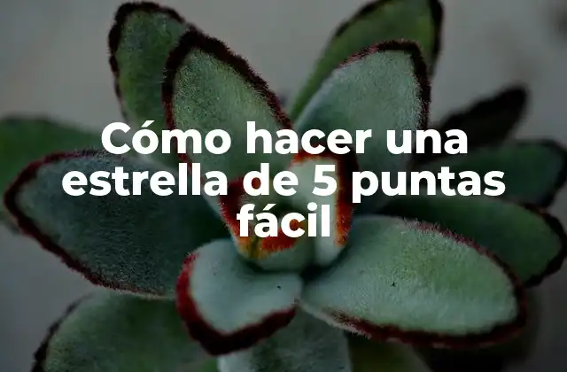 Cómo hacer una estrella de 5 puntas fácil
