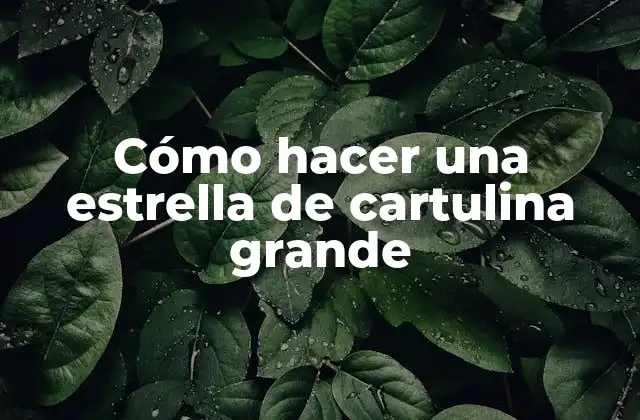 Cómo Hacer una Estrella de Cartulina Grande
