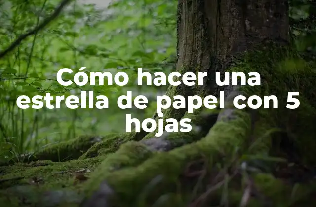 Cómo Hacer una Estrella de Papel con 5 Hojas
