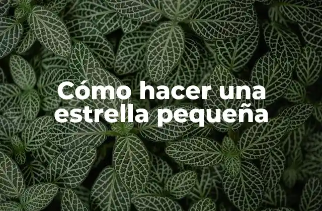 Cómo Hacer una Estrella Pequeña 2 Cómo hacer una estrella pequeña