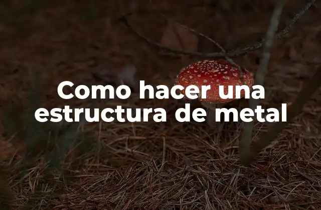 ¿Qué es una estructura de metal?